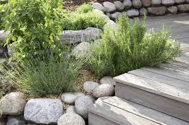 Die Schonsten Ideen Fur Zu Hause Krautergarten Anlegen Garten Garten Terrasse