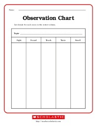 Observation Chart Graphic Organizer For 2nd 3rd Grade