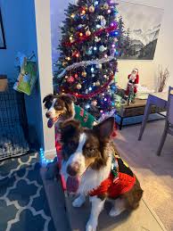 Merry Christmas everybody we are looking forward to seeing everyone next  year.