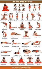 Common Yoga Protocol For Beginners To Advanced Yoga Yogaprotocol Internationalyogaday Babaramdev Ramdev Hatha Yoga Poses Ramdev Yoga Patanjali Yoga
