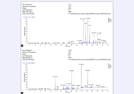Image result for Rubus steudneri