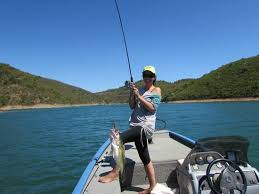 Maybe you would like to learn more about one of these? Saboia Photos Featured Images Of Saboia Odemira Tripadvisor