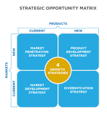 A marketing strategy is all of a company's marketing goals and objectives combined into a single comprehensive plan. Product Launch Templates New Product Development Strategy New Product Development Growth Strategy