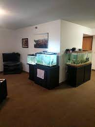 The tank itself will have some weight as will the stand and. My Fish Room Aka My Dorm Apartment Livingroom Aquariums