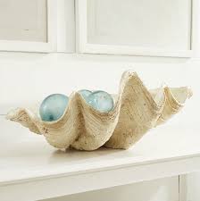 Check spelling or type a new query. Decorating On The Half Shell Clamshells In Home Decor Driven By Decor