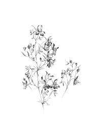 Pin On Birth Flower