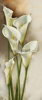 Antique Vintage Botanical Calla Lilies Digital Image Illustration Download Printable 300 Dpi In 2021 Lily Painting Flower Art Lilies Drawing