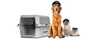 Maybe you would like to learn more about one of these? Home Am Pet Travel Agency