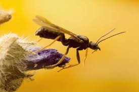 Pin Auf Haushalt Und Alltag