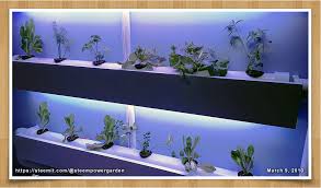 The indoor wall planter (at right) is one of the easiest systems i've seen for achieving lush vertical gardens indoors. Home Hydroponics Gardening Indoor Wall Garden Update 03 09 2018 Steemit