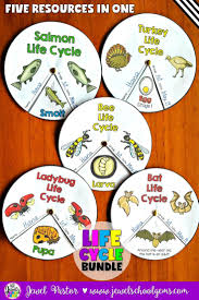 Pin On Elementary Science