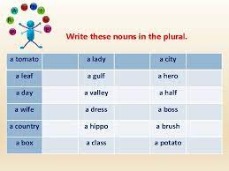 Plural Of Nouns Flower Flowers Bus Buses Man