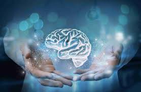 Neuroplasticidade: o que é e como funciona