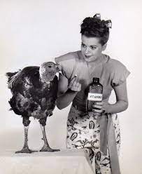 Check spelling or type a new query. A Vintage Pin Up Guide To A Happy Thanksgiving Flashbak