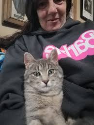 Justice for Dakota the German Shepherd, Alleged Animal Abuse in Ontario