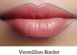 We are the only medspa of its kind. What You Should Know About Lip Augmentation