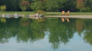 It glows at night and it's beautifully surrounded by. Backyard Pond With Natural Swimming Pool And Beach Reflections Water Gardens