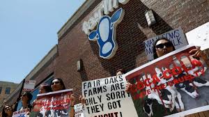 The ultimate place for pets. June 12 2019 7 Things To Know About Alleged Animal Abuse At Fair Oaks Farms Chicago Tribune