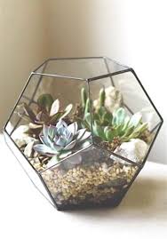 Examples Of Landscaping Ideas That Can Be Applied On Your Home Page Succulents Indoor Succulent Terrarium Plants