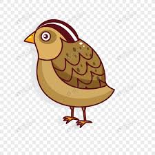 Aturan dalam setiap kontes download this vector shield, shield clipart, defensive, metal png clipart image with transparent. Gambar Animasi Burung Radea