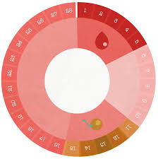 La fertilité , qui atteint son maximum à la vingtaine, ne cesse de diminuer, d'abord lentement entre 20 et 30 ans, puis drastiquement entre 30 et 40. A Quels Moments Les Femmes Sont Elles Fertiles Gyn Co