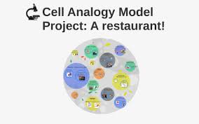 Restaurant cell analogy storyboard by eacartoon123. Cell Analogy Model Project A Restaurant By T Z
