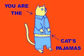 As a tribute, we have prepared 120 animated gifs of pigs. You Are The Cats Pajamas Gifs Get The Best Gif On Giphy