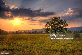 3,372 Malcolm Fields Stock Photos, High-Res Pictures, and Images