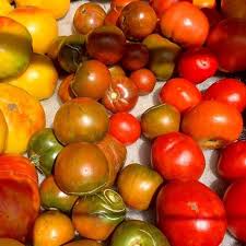 Although medicare doesn't cover life alert, some medicare advantage plans (also better yet, some insurance providers may offer pers coverage at no added cost, and other providers may charge a fee for the system. Noom Diet Plan Review Must Read This Before Buying