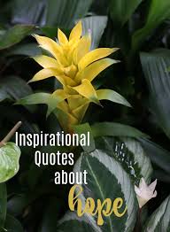 The purpose of the author in writing the story is to inspire the readers by relating our life to the evolution of a caterpillar. Inspirational Quotes About Hope Motivation Sayings With Flower Photos