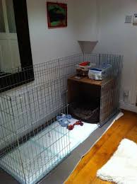 Must Have Supplies For A Puppy Puppy Playpen Puppy Crate Dog Playpen
