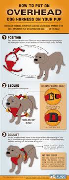 How To Put On A Dog Harness Overhead Infographic Dog Harness Dog Infographic Your Dog