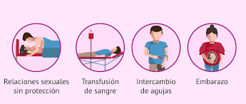 Enfermedades De Transmision Sexual Ets En El Hombre Y La Mujer