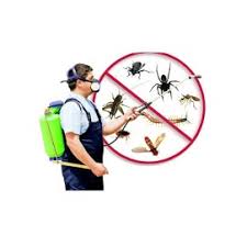 Certified fumigators of stored produce, termites proofing of all types merry christmas in advance from city pest control services. Bharath Search