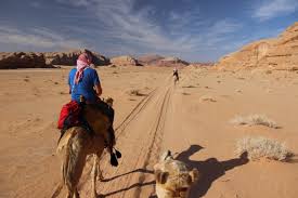However, camel breeders say this type of pneumonia develops among camels in summer and not in winter. Desert Rachelfarmer