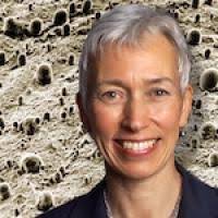 Biology Podcast and Videos