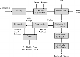 Conceptual Process Flow Diagram For A Corn Based Dry