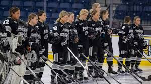 Womens Hockey Hosts Northeastern In Hockey East Quarterfinals - Providence  College Athletics