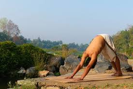 What is a Yogi? and How Can You Become One in True Sense! - Fitsri Yoga