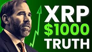 PREME CHART WATCH $PREME $KING $PTC $XRP