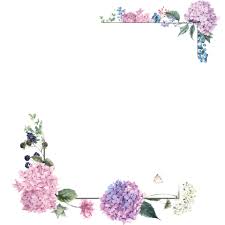 Popular And Trending Flower Stickers Flower Drawing Flower Painting Flower Border Png