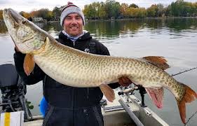 Wild caught, cleaned, sealed, frozen and shipped to your door! Johnny S Ultimate Musky Guide Service And Wisconsin Fishing Guide