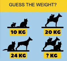 Buddy the dog was wearing a 2 foot leash. Cat Rabbit Dog Weight Puzzle Here S A Detailed Explanation And The Correct Answer