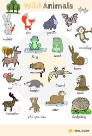 Learn Animal Names In English Eslbuzz Learning English