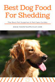 Best Dog Food For Shedding And Dry Skin The Pet Supply Guy Best Dog Food Dog Food Recipes Dog Dry Skin