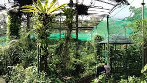 Low rates • no booking fees • find cheaper? Lake Gardens Kuala Lumpur Best Things To Do See