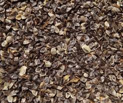 Image result for Aloe ribauensis