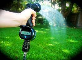 Factors that affect your plant's water needs. How Often Should You Water Garden Plants Daylilies In Australia