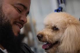 Wilton says 'Woof!' to Welcome Grooming by Gabe into New Town Center  Storefront