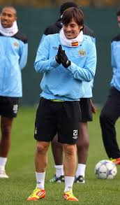 Pin On Silva